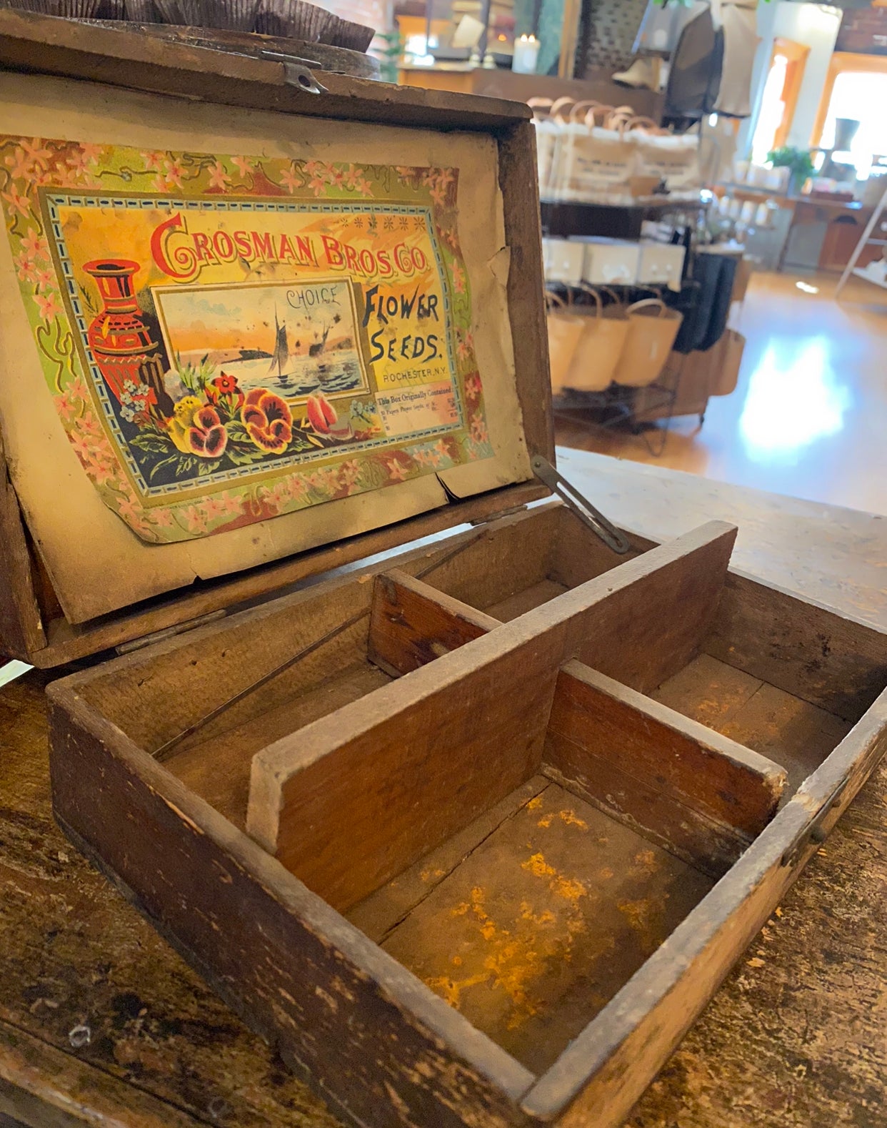 ANTIQUE / PRIMITIVE SEED BOX ~ THE PAGE SEED COMPANY, GREENE, NY ~ NICE  DISPLAY